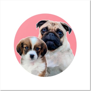 A Pug and a Puppy Posters and Art
